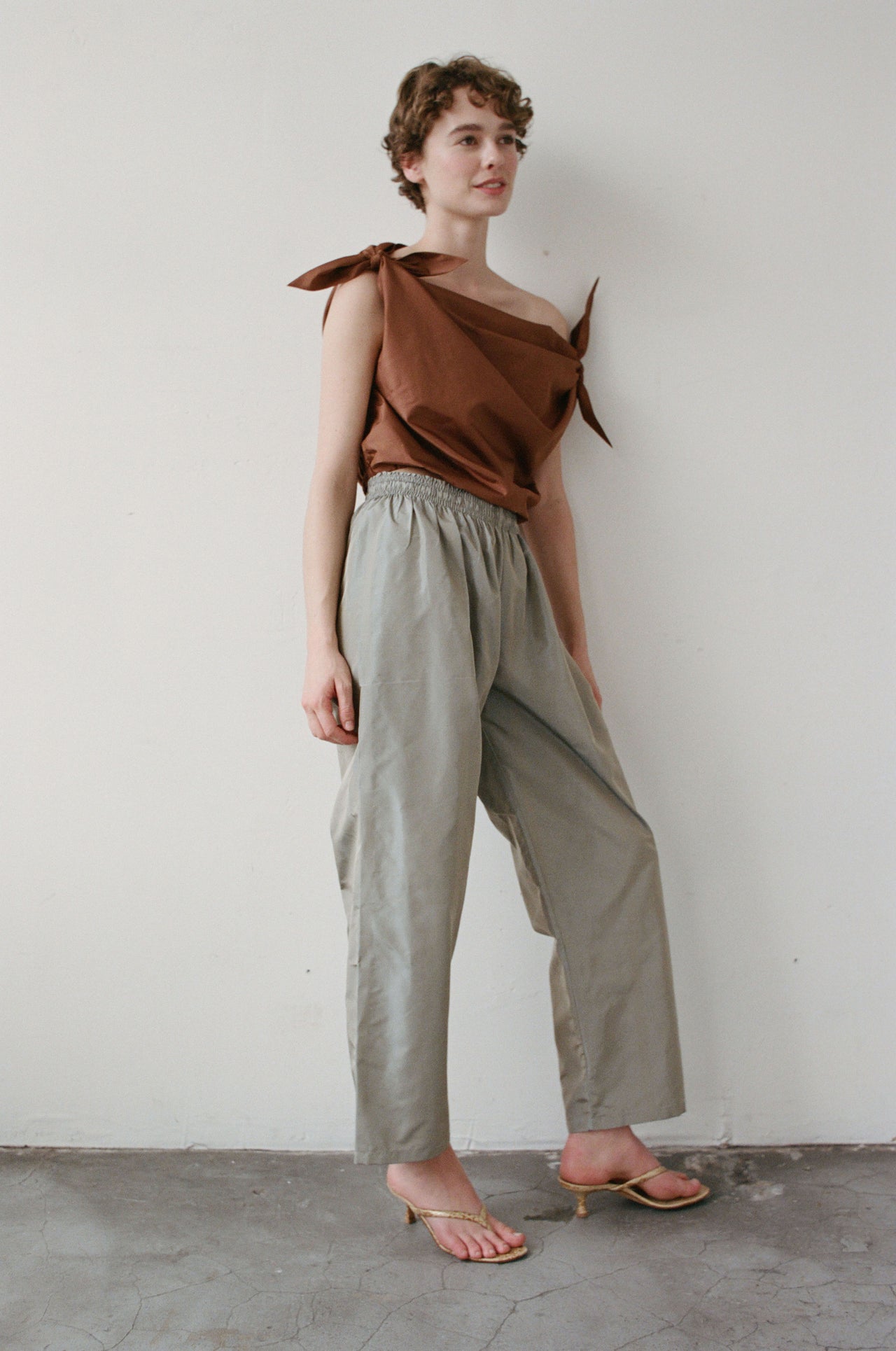 SWAN - AMBER